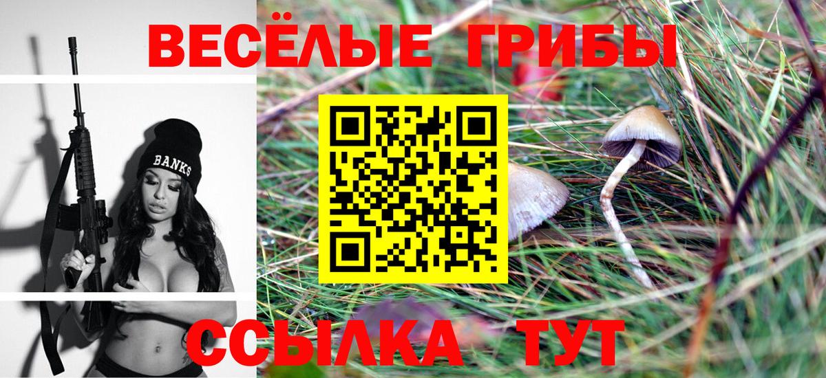 Изобильный  Галлюциногенные грибы мухоморы  что такое   Вход с VPN 