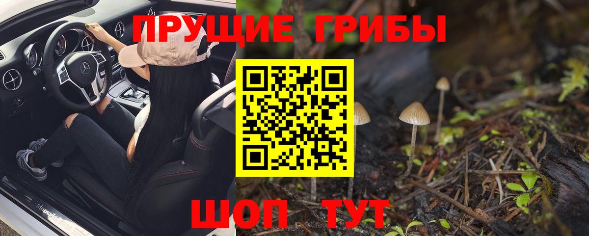 Галлюциногенные грибы прущие грибы Изобильный